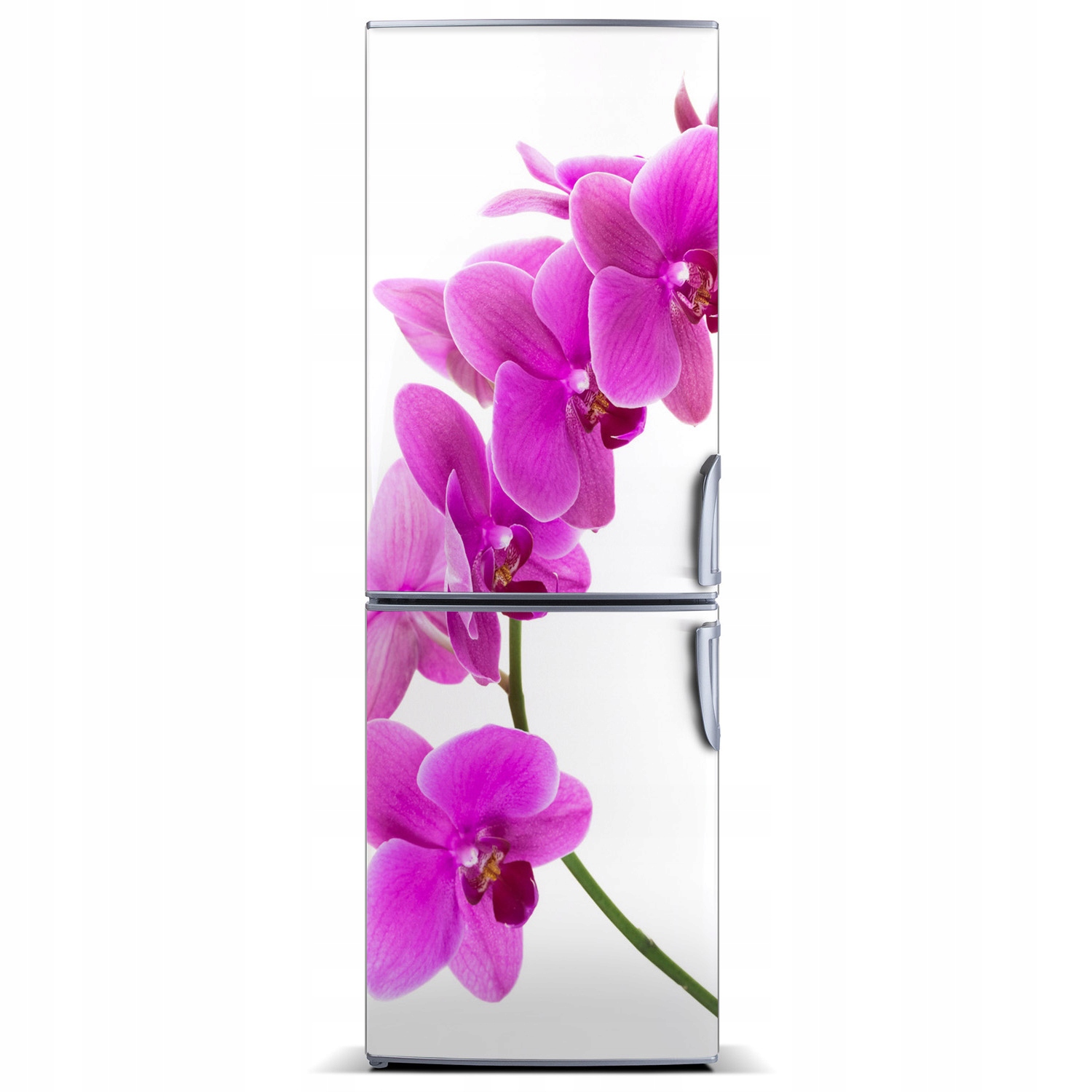 

Naklejka Magnes Magnes Różowa orchidea 60x180