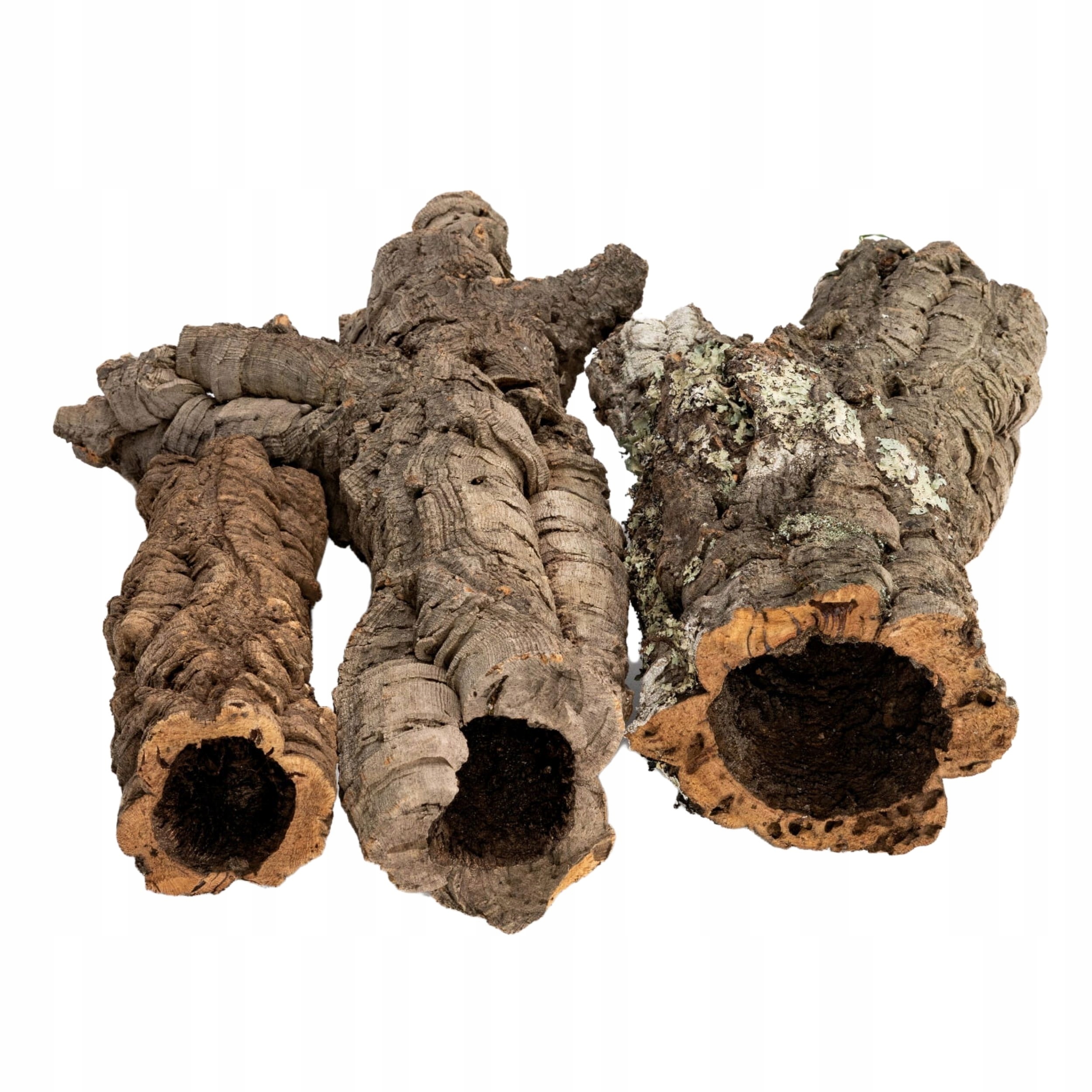 

Kora Dębu Korkowego Tuby mix do Terrarium 1kg
