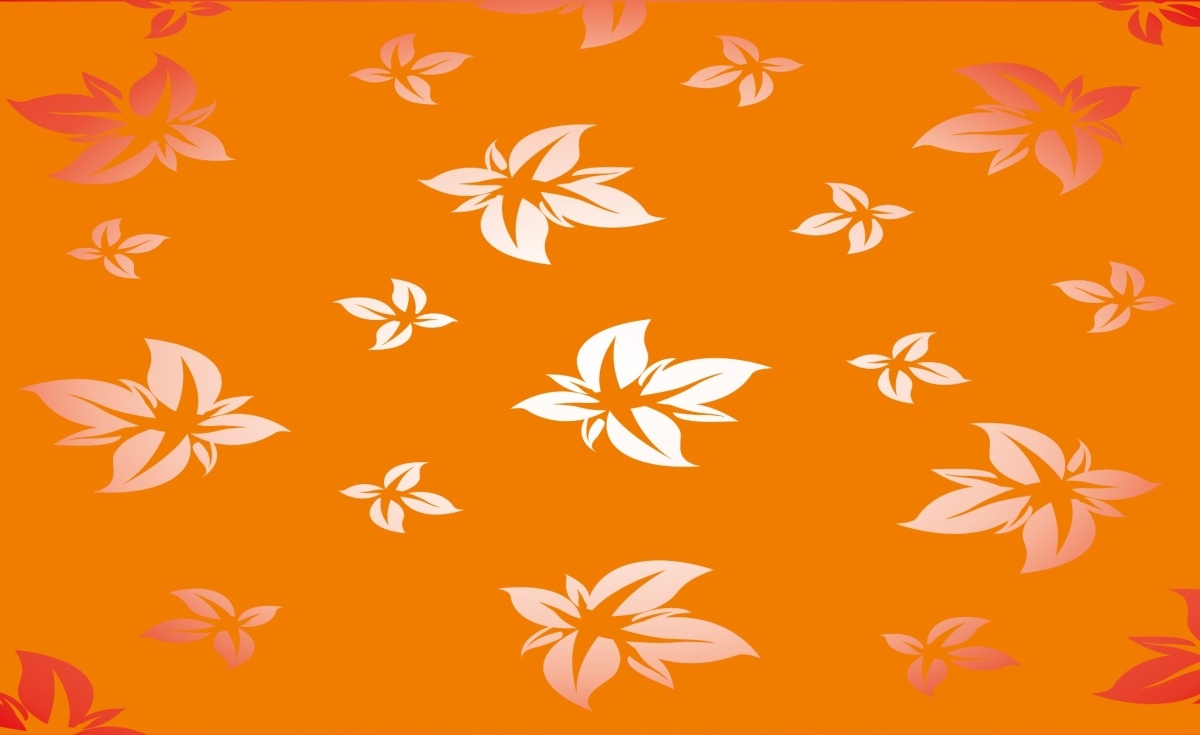 

Fototapeta Flizelinowa Kwiecisty wzór 416x254