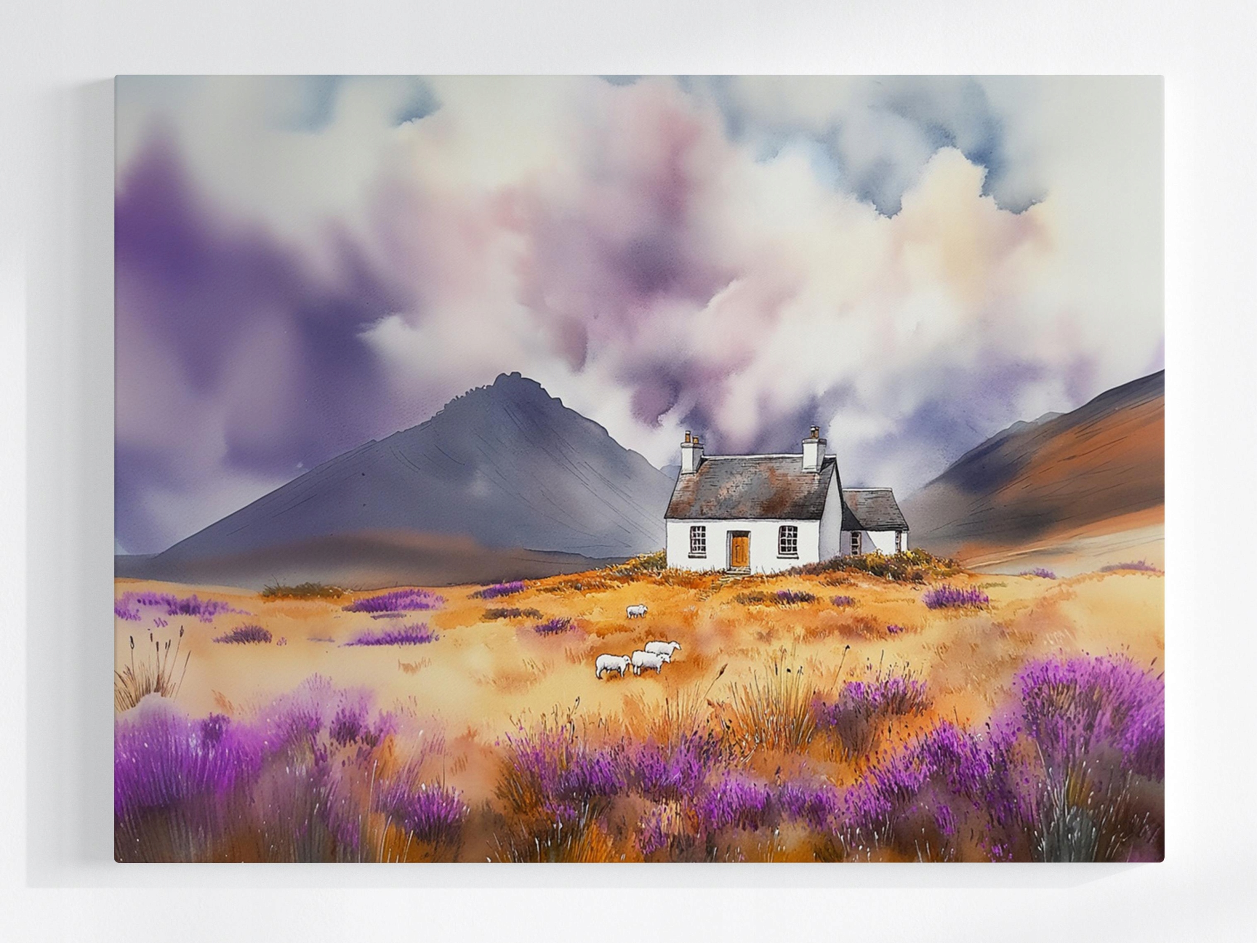 Obraz Na Plátně Canvas Krajina Skotsko Highland Hory Dům Vřesy Ovce 80x60