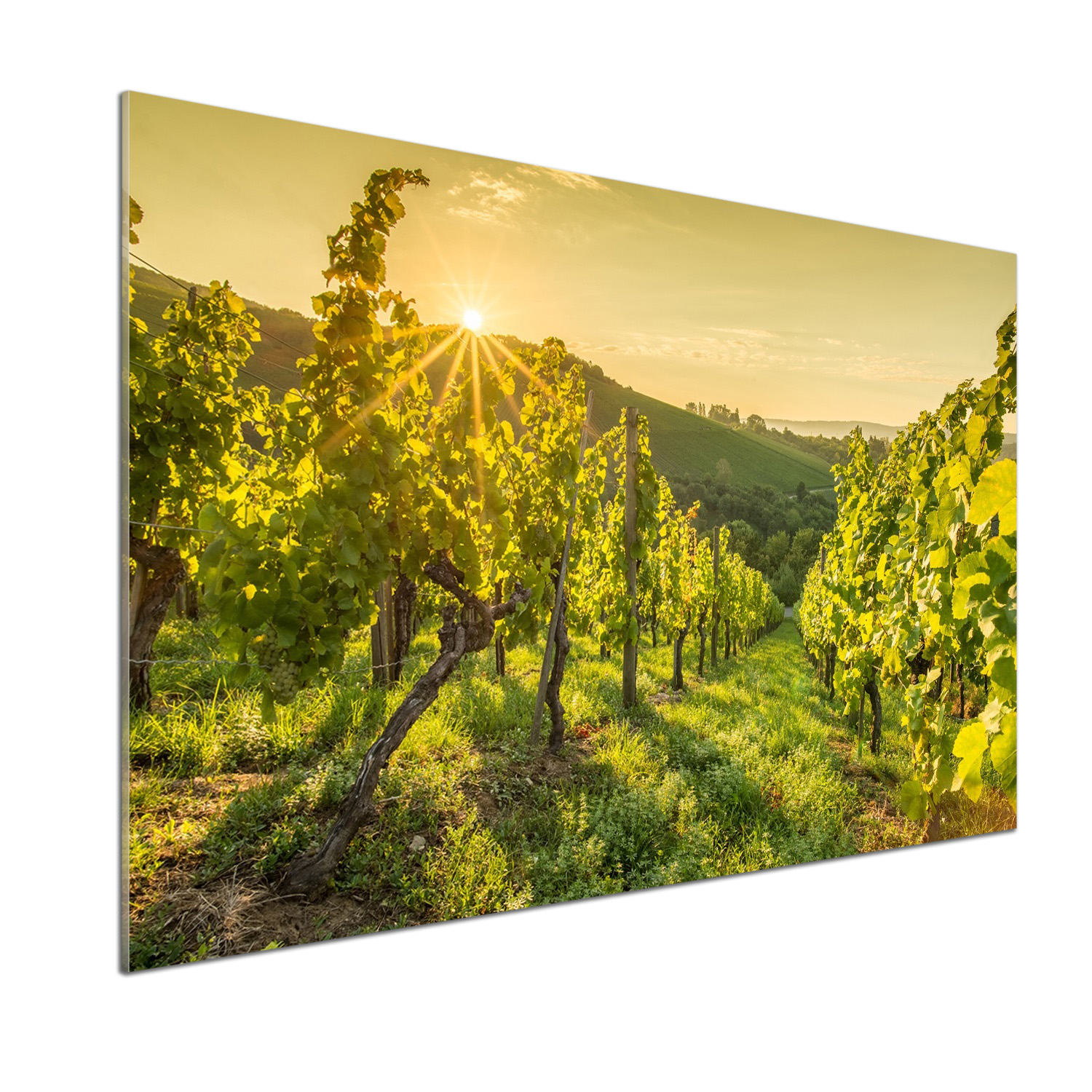 Sklenený panel do kuchyne Vinárstvo 100 x 70 cm Lepidlo