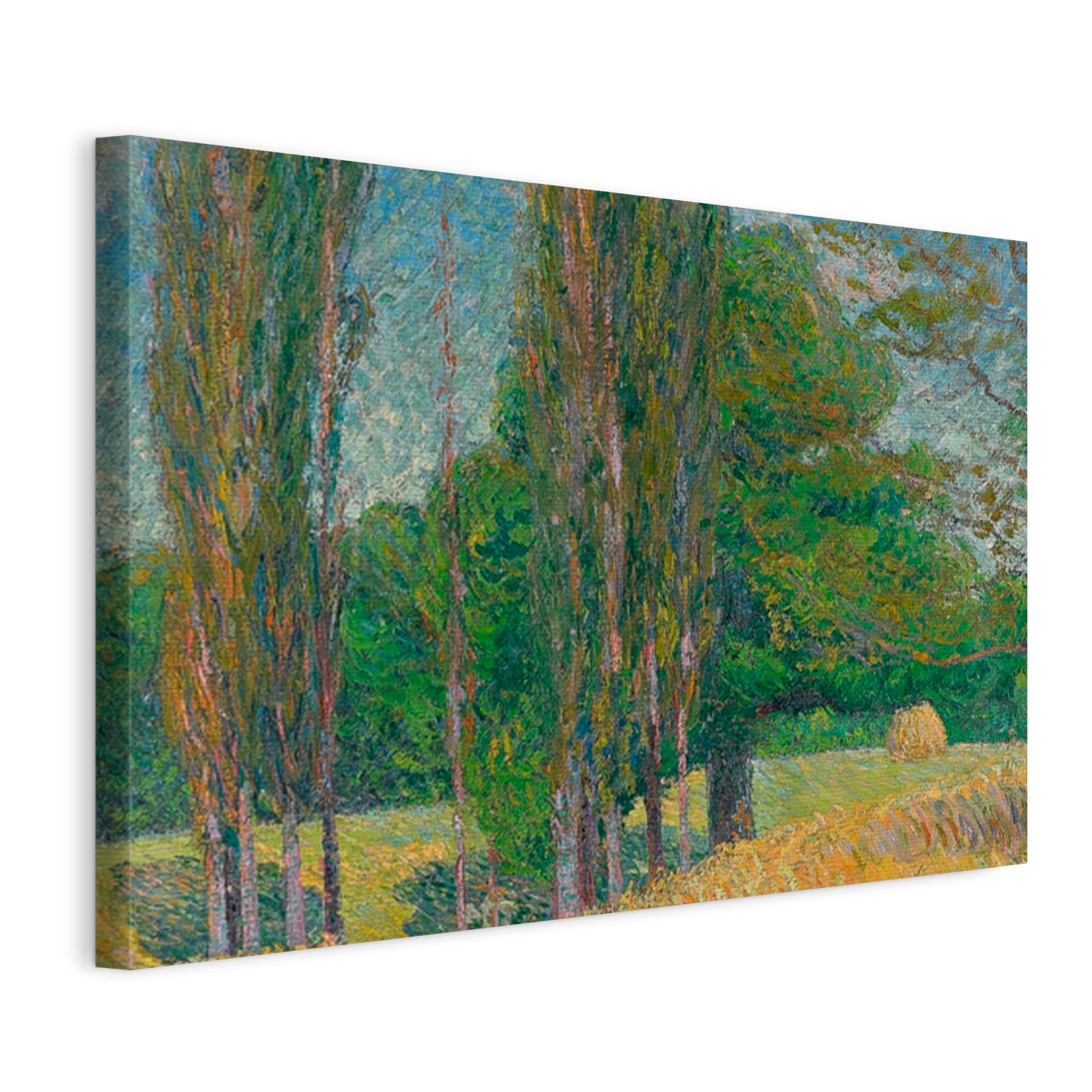 Obraz Na Plátně Gustave Loiseau Topole 120x80