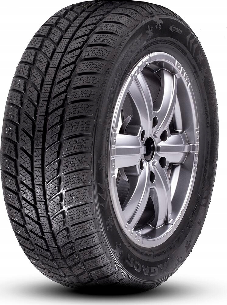 ROADX 205/55 R16 RX FROST WH01 91H opona ZIMOWA
