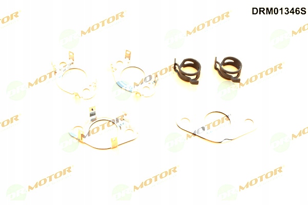 DR.MOTOR AUTOMOTIVE ZESTAW USZCZELEK ZAWORU EGR