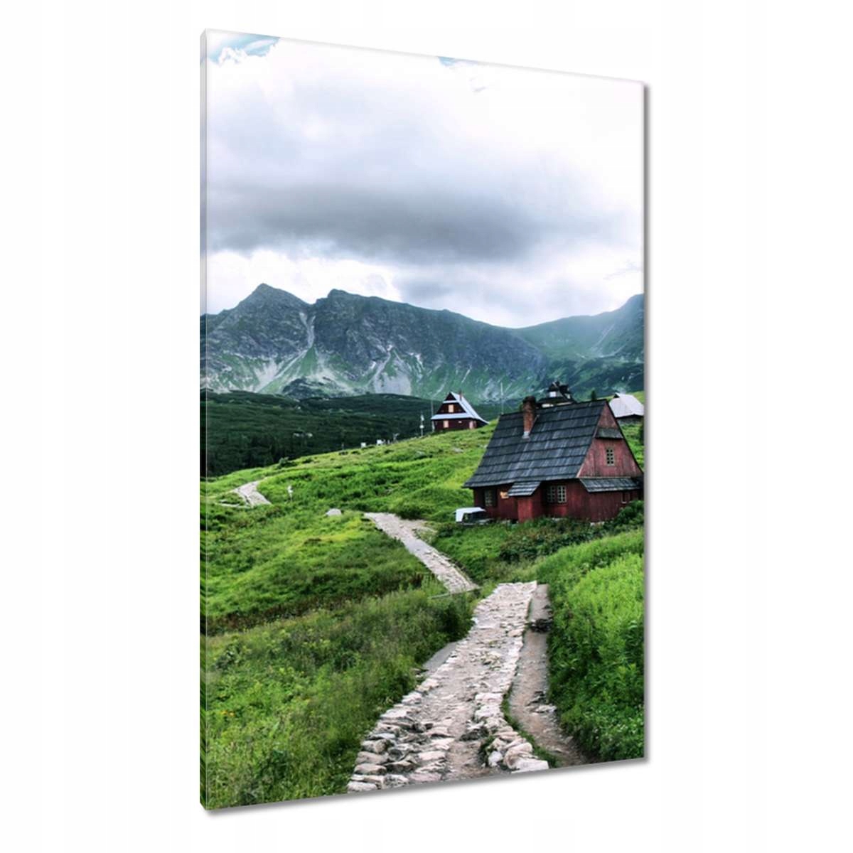 Obrazy 80x120 Tatry Hala Gąsienicowa