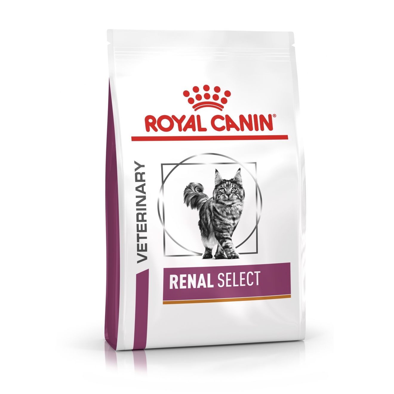 Royal Canin Feline Renal Select, 2 kg, dla kotów na choroby nerek