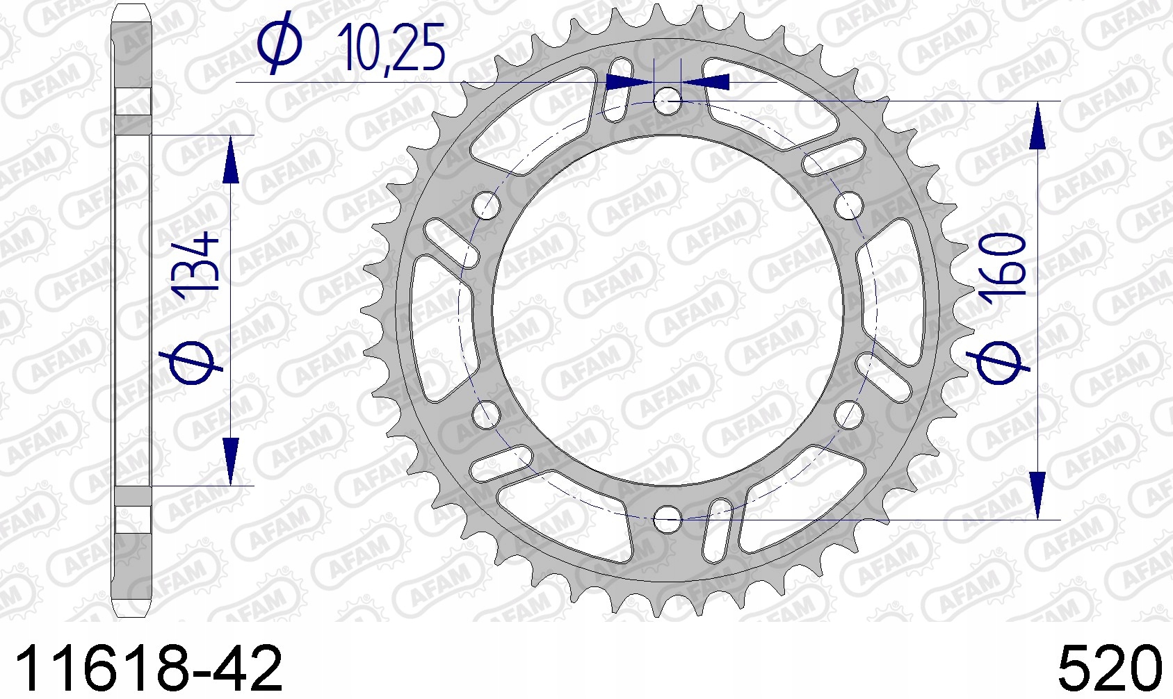 Ozubené Koleso Afam 42 520 Honda CBR600RR CBR1000R