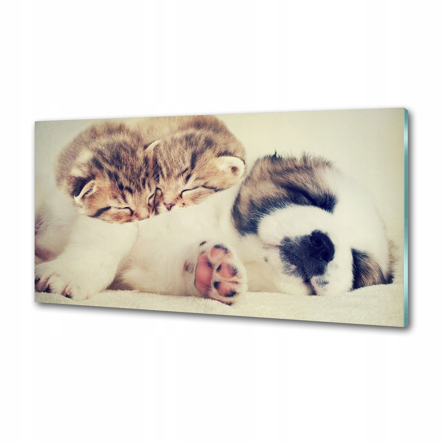 Panel do kuchyne Dve mačky a pes 100 x 50 cm Lepidlo