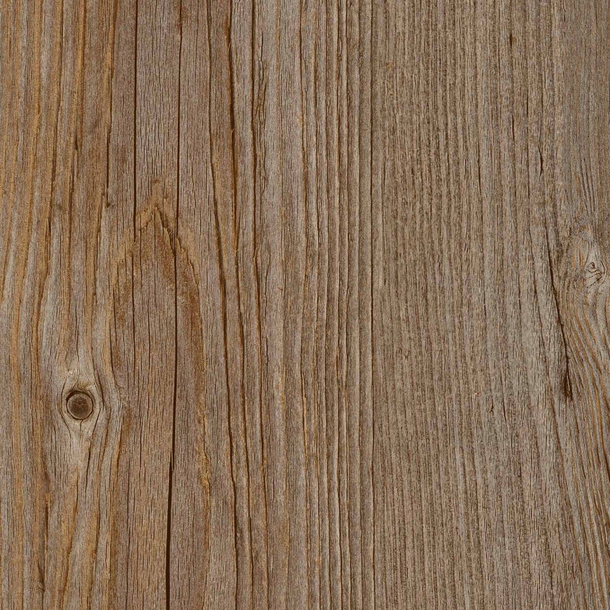 

Panele winylowe|LVT|Gerflor 55 Buffalo