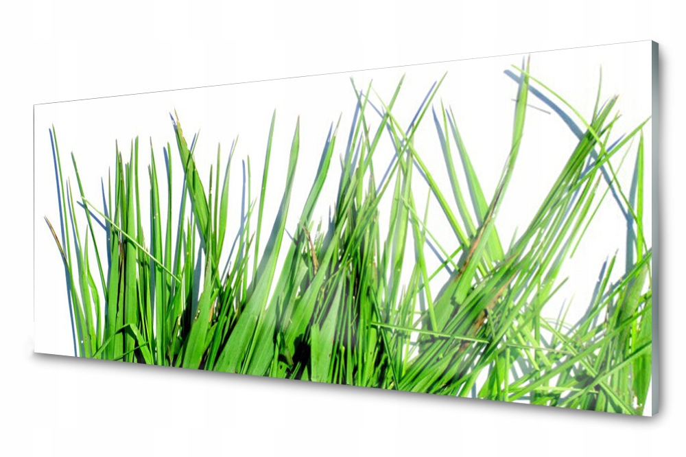 

Panel szklany do kuchni Trawa 125x50