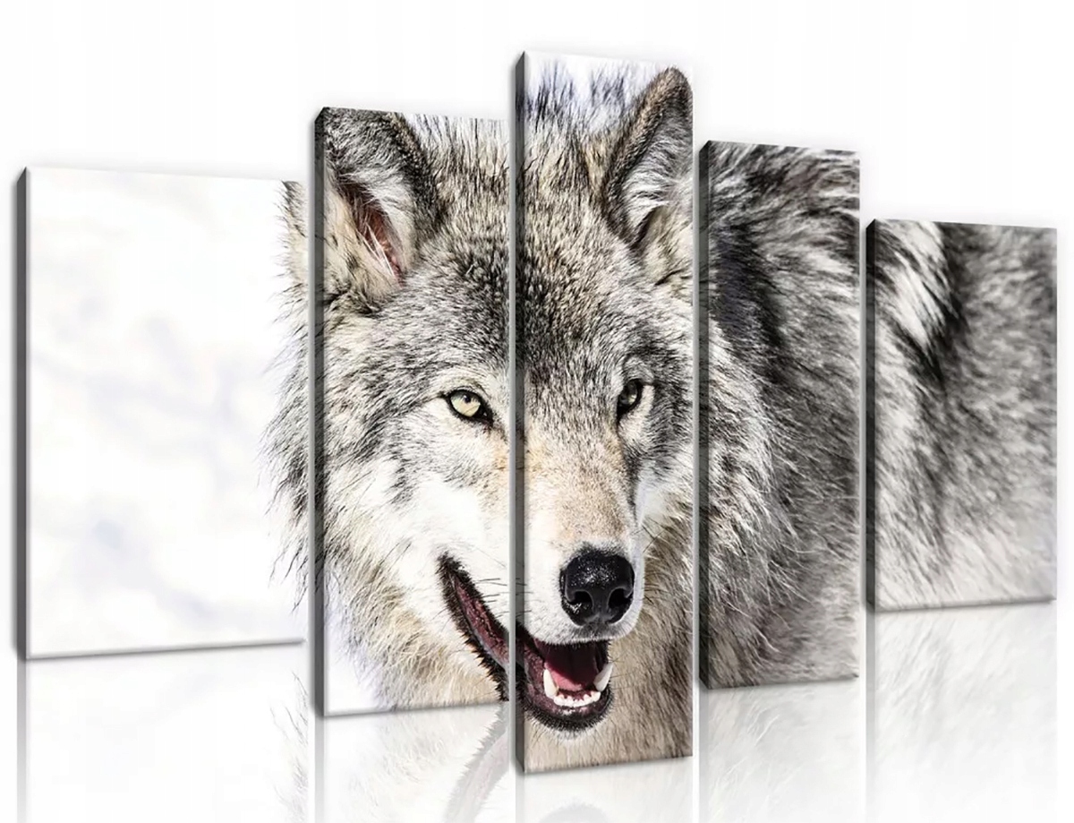 Obraz Na Plátne Canvas 170x100 Snehový Vlk