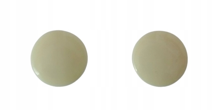 ZAŚLEPKA DO PROWADNICY ROLETY ZEWN. KOŚĆ SŁONIOWA Kod producenta PLUG-0054