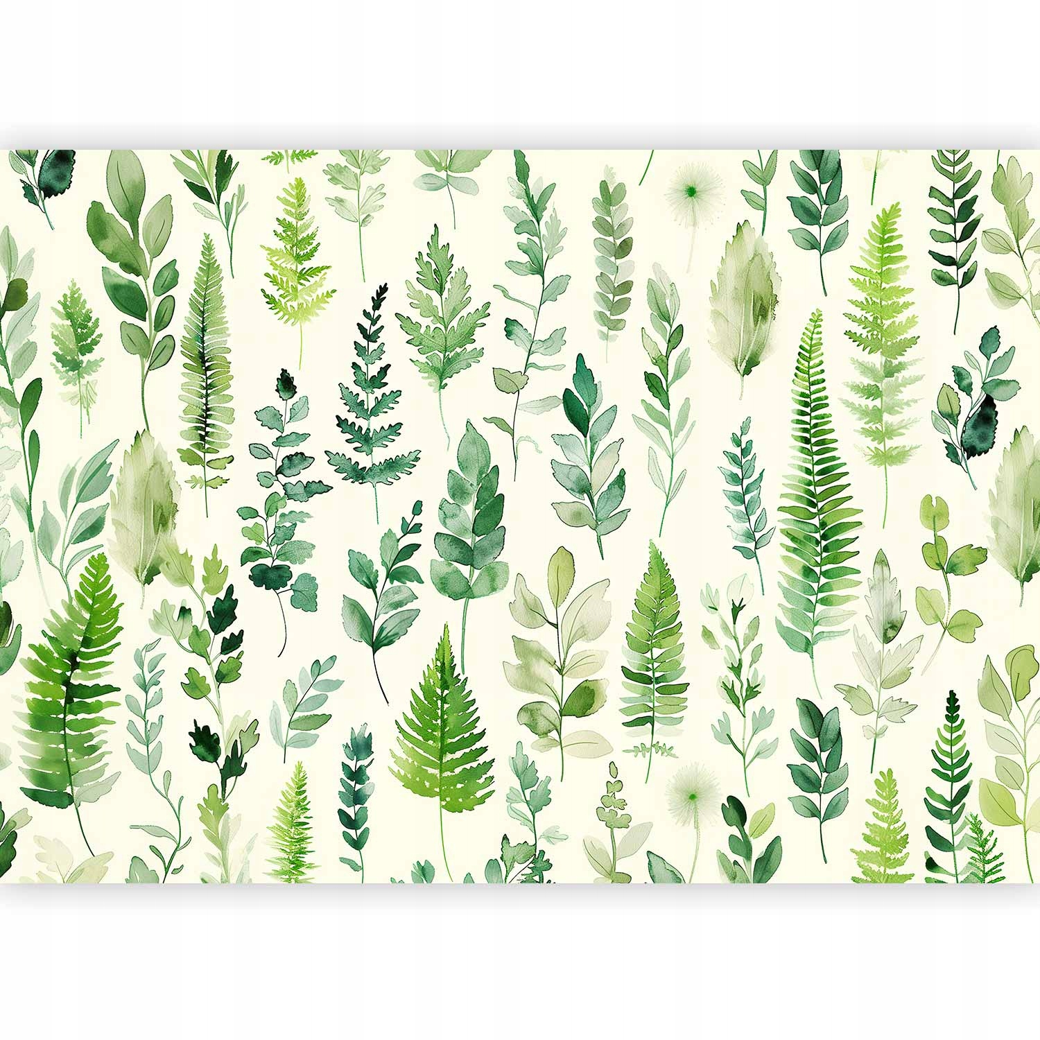 Fototapeta Premium Liście Listki Paprocie Łąka Natura Tapeta Salon 500x350