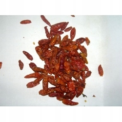 Levně Peperoncino Piri-piri Bird Eye 1 kg Rafex