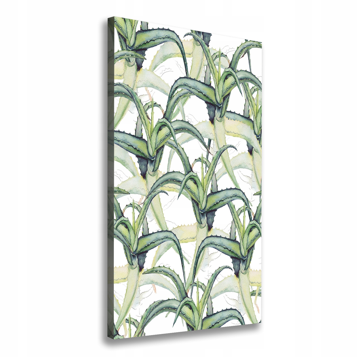 

Foto-obraz zdjęcie na płótnie Aloes 60x120 cm