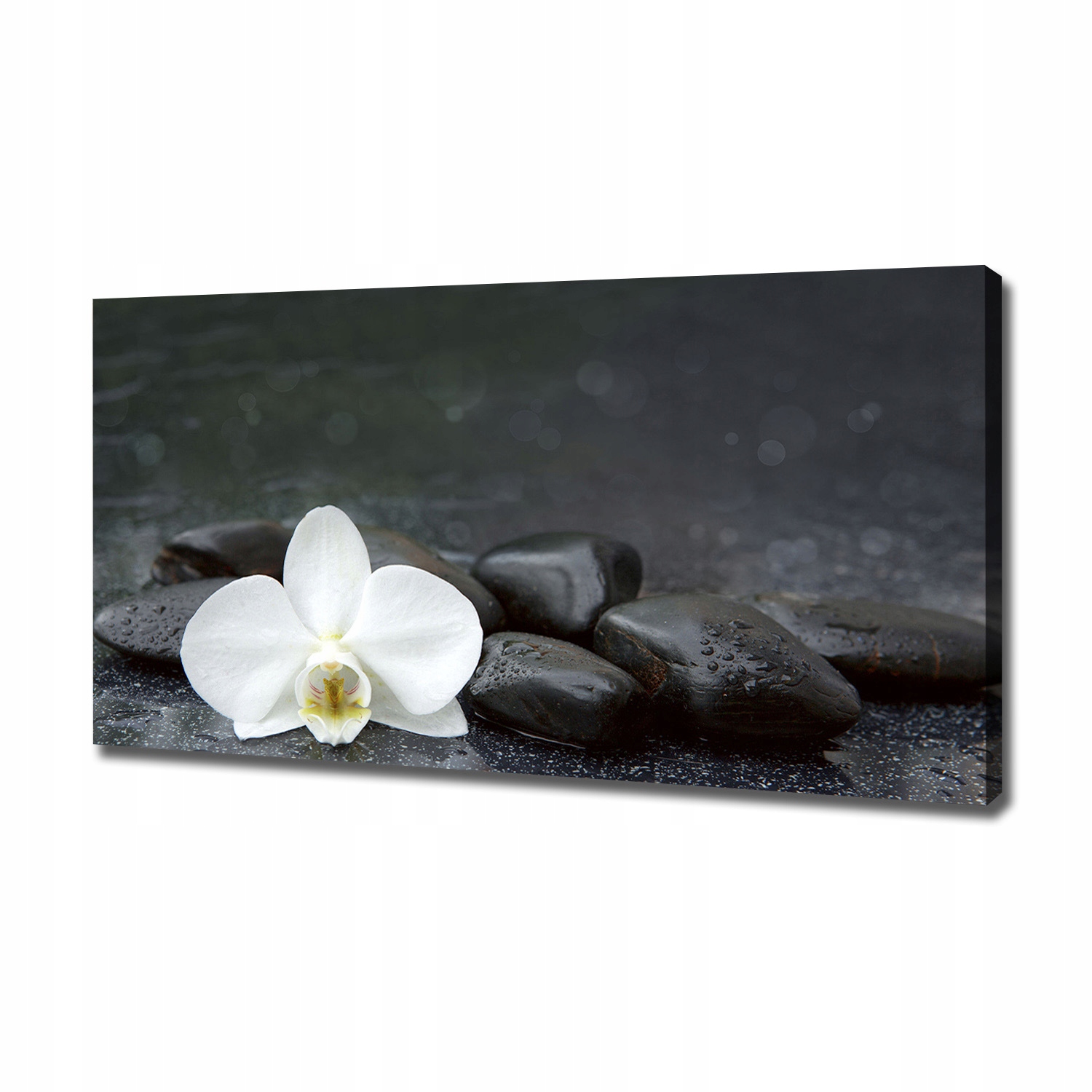 

Foto obraz canvas na ścianę Orchidea 120x60 cm