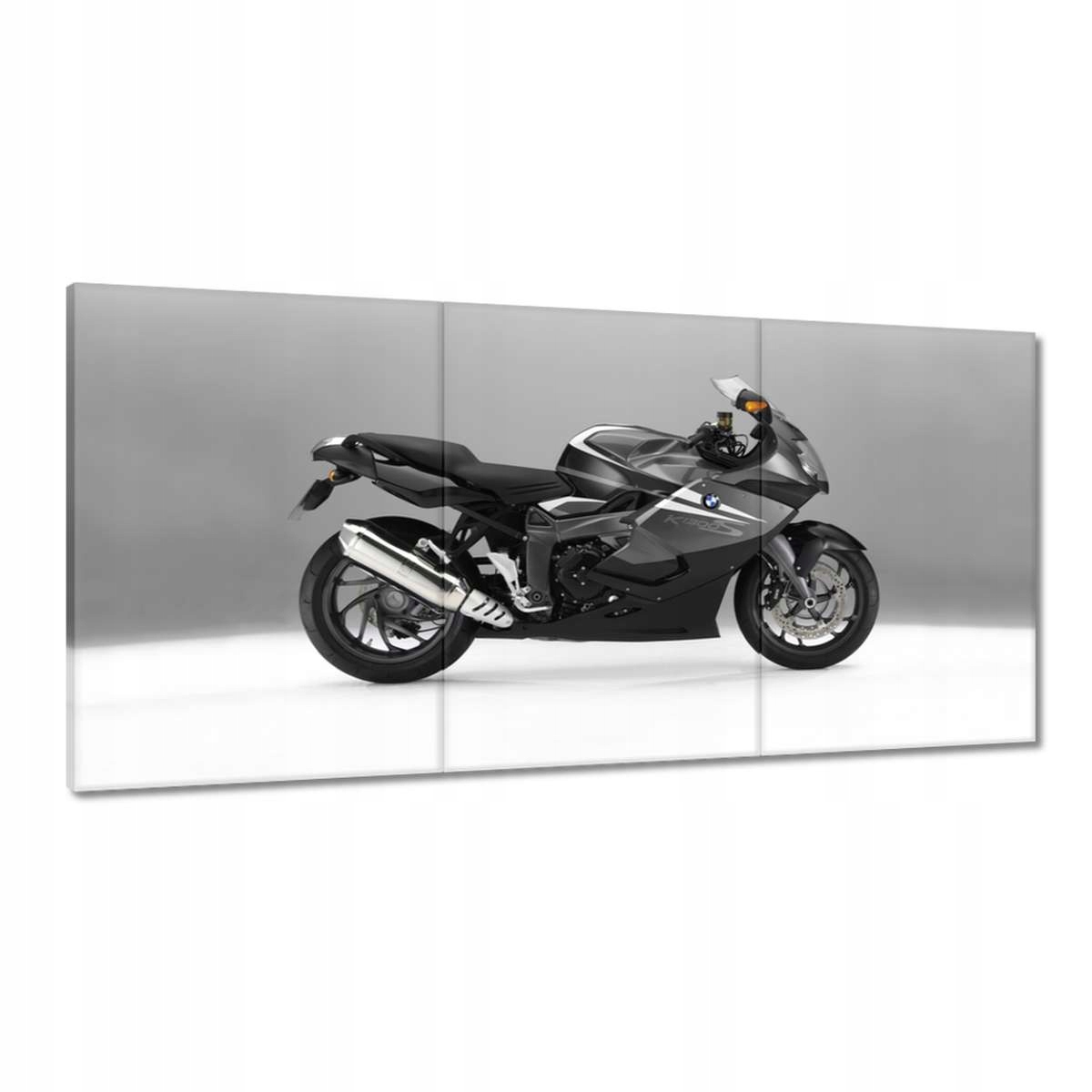 Obrazy 180x90 Čiernobiely prenasledovač