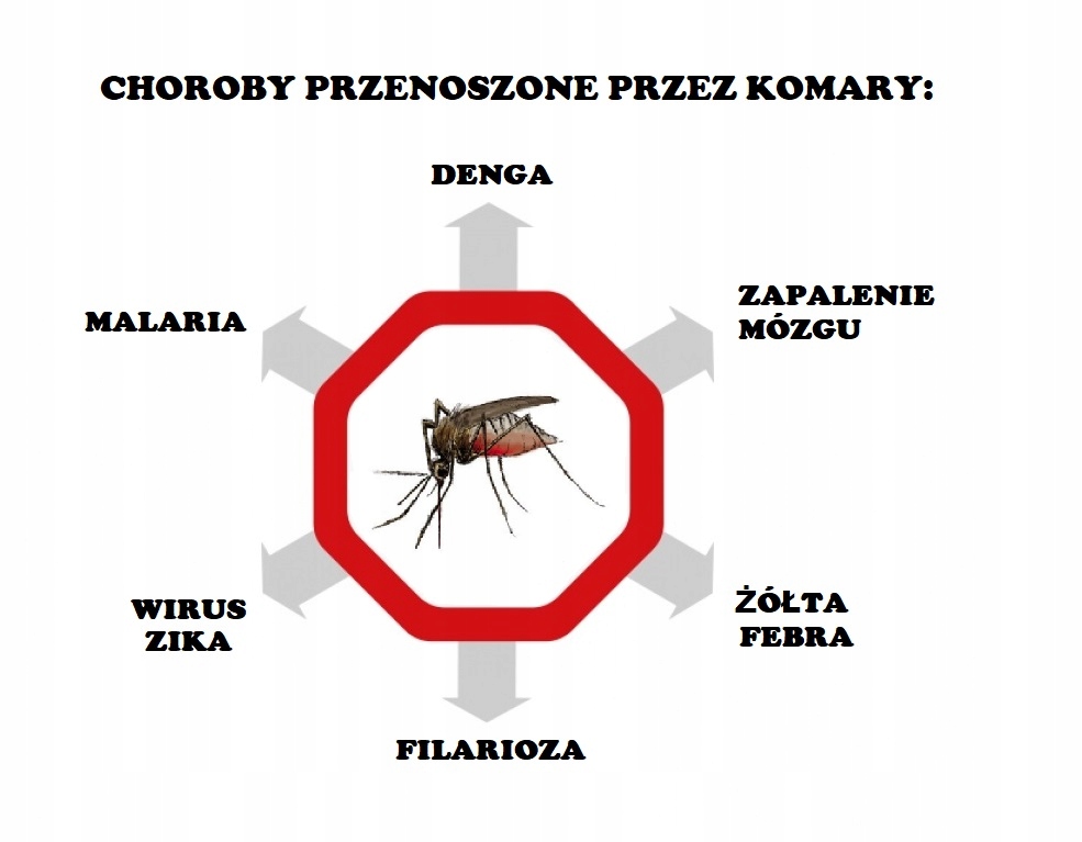 VACO RODZINNY ZESTAW KLESZCZE KOMARY 2xSPRAY+KREM Czas działania 8 h