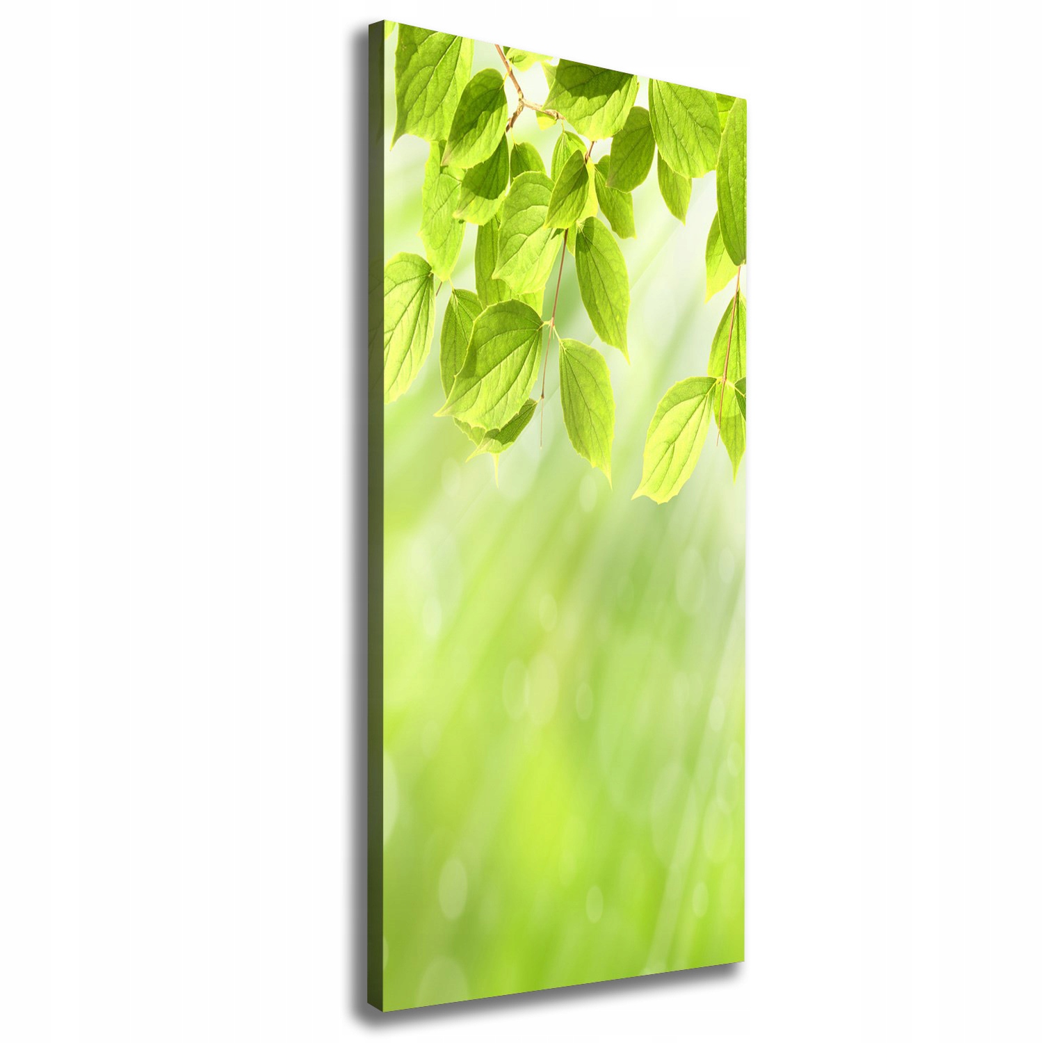 

Foto obraz na płótnie Zielone listki 50x125 cm