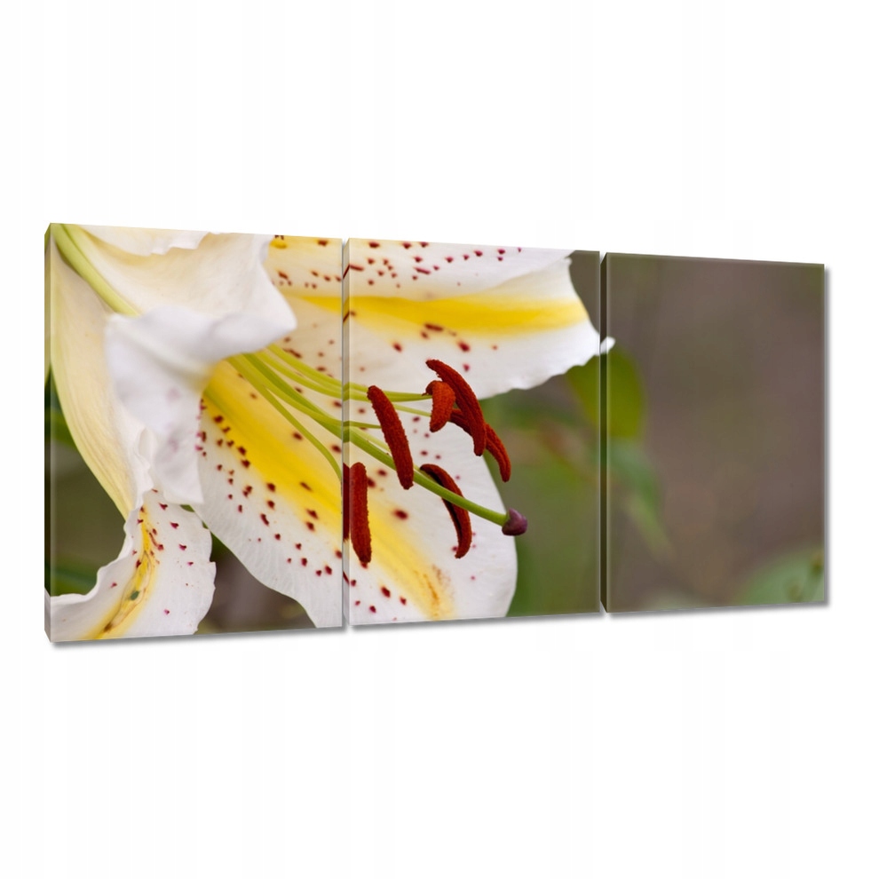 

Obrazy 120x60 Dzień Kobiet Prezent Love