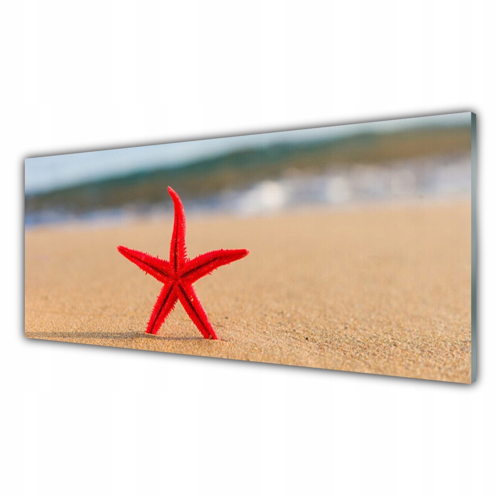 

Fotoobraz z grafiką 125x50 Plaża Rozgwiazda Sztuka