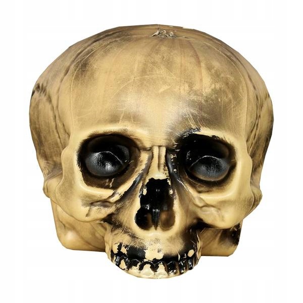 

Czaszka Bez Brody 20 CM Dekoracja Halloween