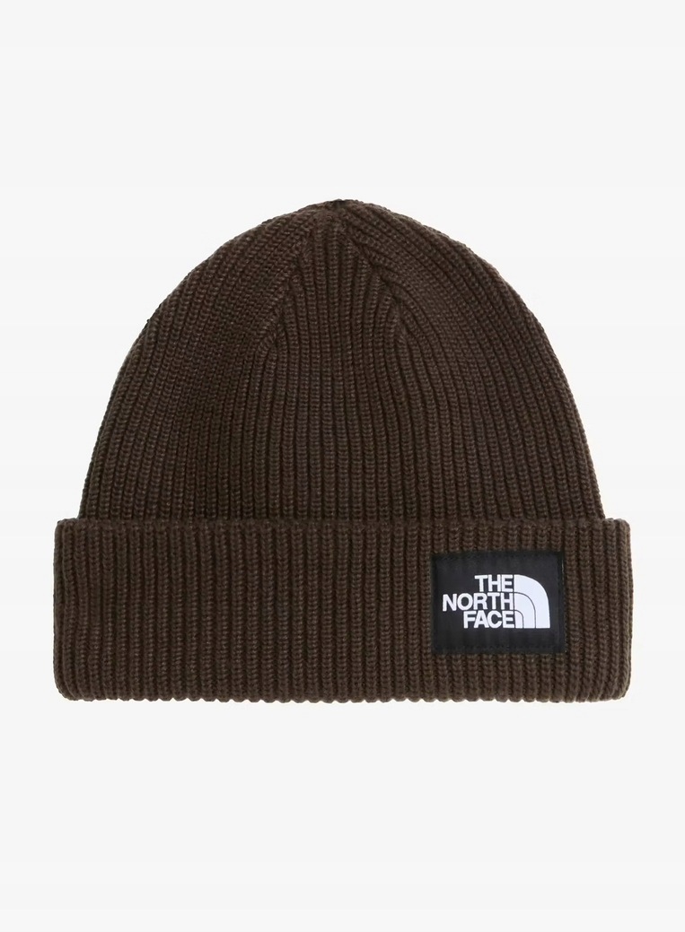 Čepice The North Face Salty Lined Beanie Dark Chestnut