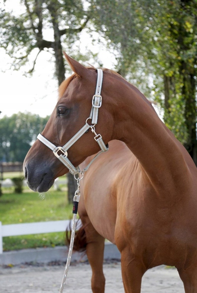 KANTAR DLA KONIA CORA GRANATOWO-SZARY-BIAŁY FULL COVALLIERO Marka Covalliero