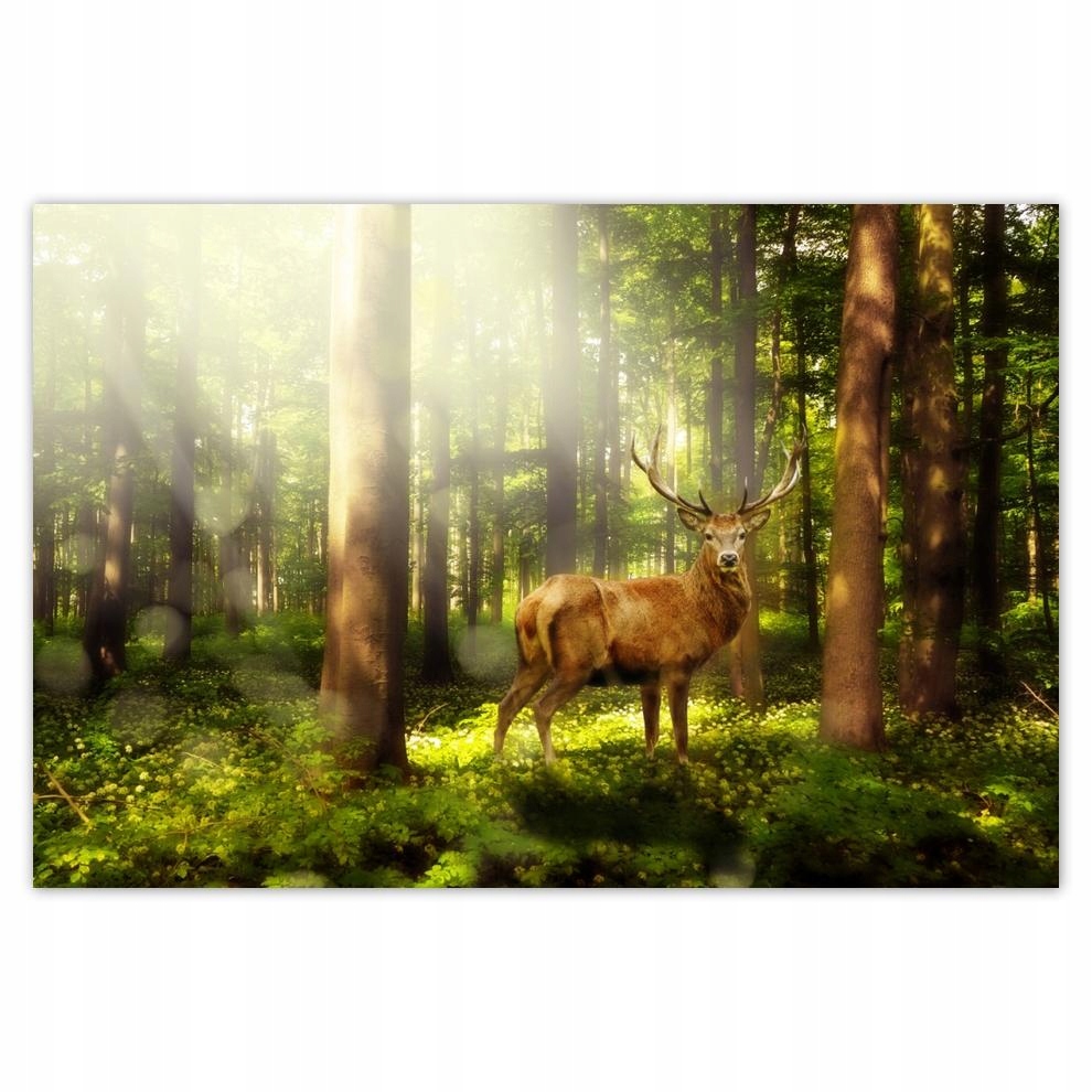 

Plakat 93x62 Jeleń w magicznym lesie