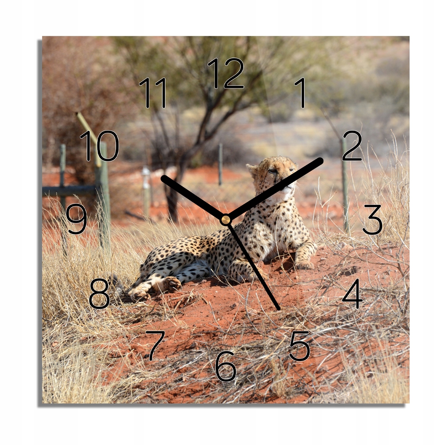 

Gepard rezerwat zegar szklany kwadratowy 30x30