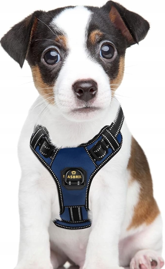 Levně Masbrill Regulovatelné postroje pro psy – Postroj s reflexními prvky pro malého psa S