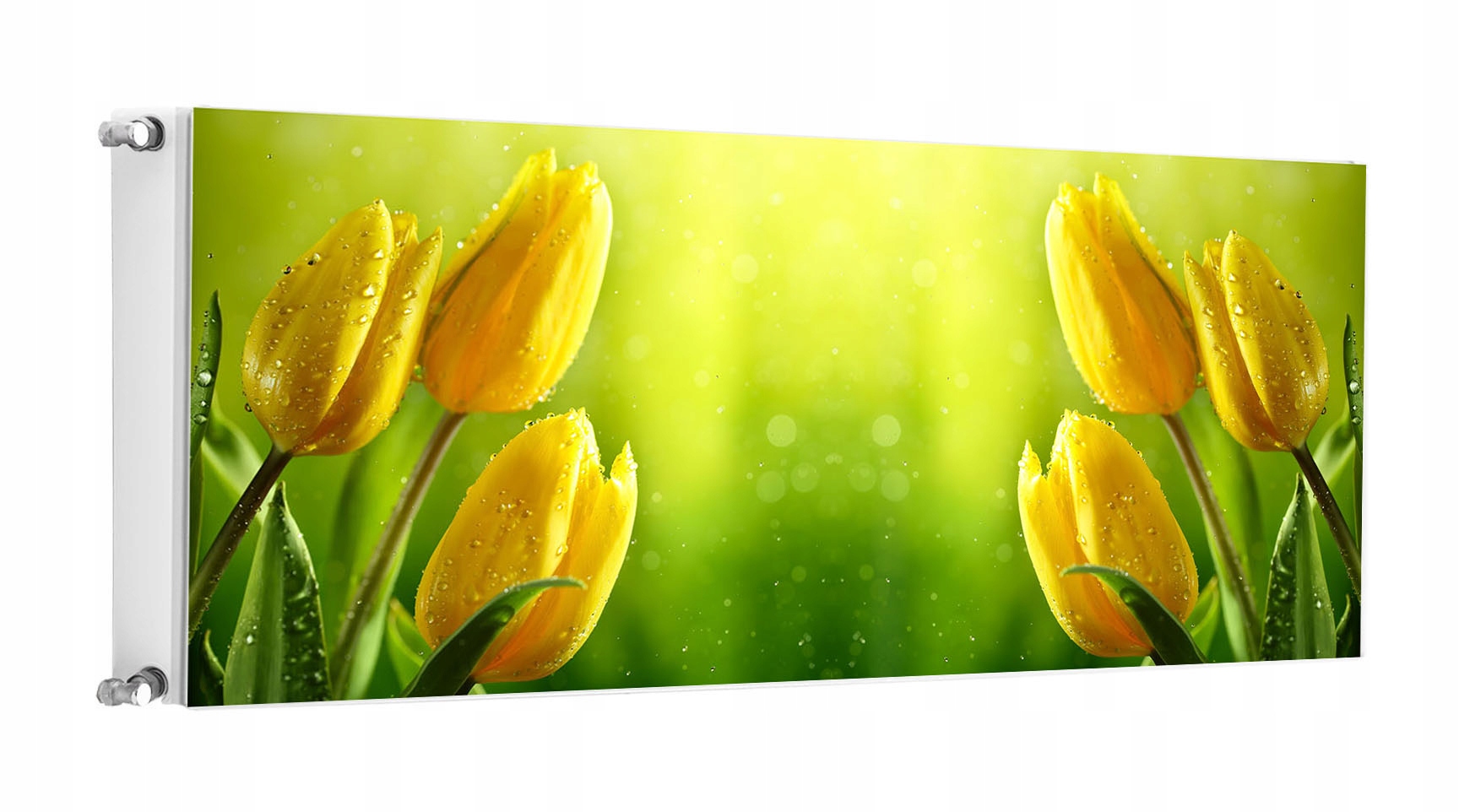Magnetka Magnetická Podložka Na Radiátor 140x60 Tulipány