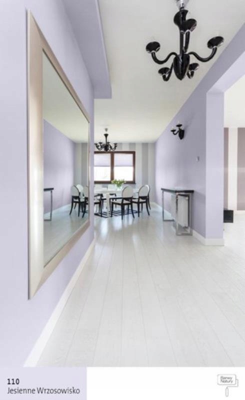 Śnieżka Barwy Natury Jesienne wrzosowisko 110 2.5L Marka Śnieżka