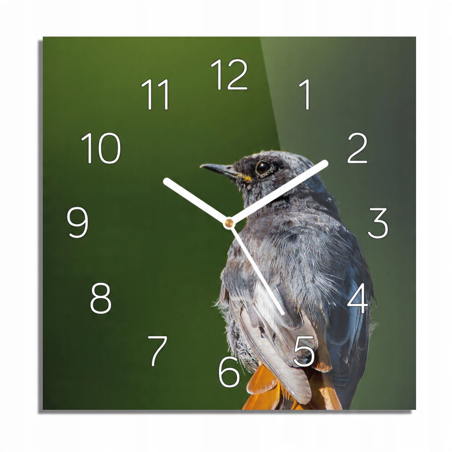 

Wróbel kamień natura foto-zegar z foto 30x30 cichy