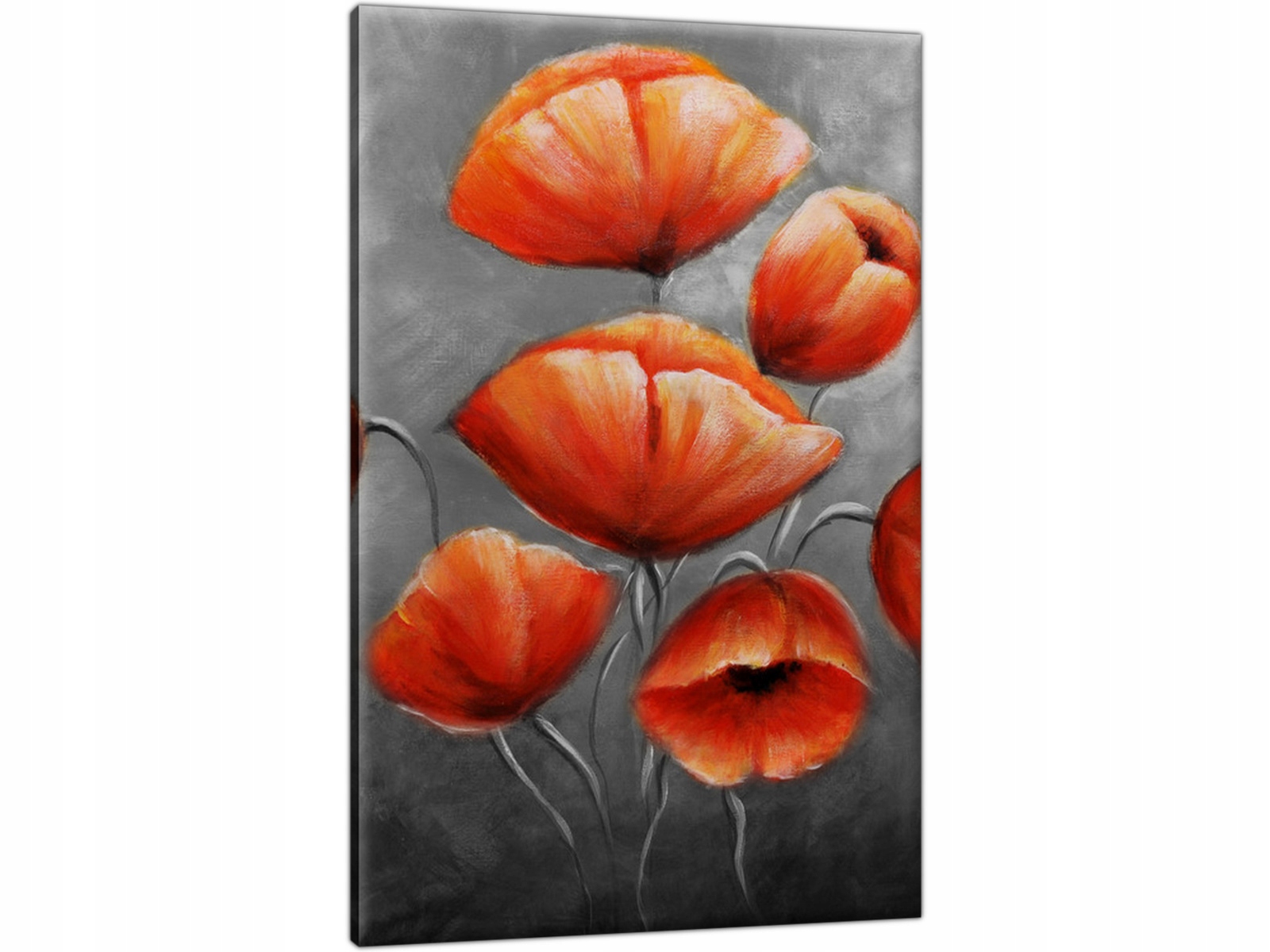 

Czerwone Maki na szarym tle 60x90 Obraz do salonu