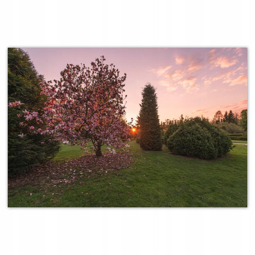 

Plakat 93x62 Widok Pejzaż Krajobraz