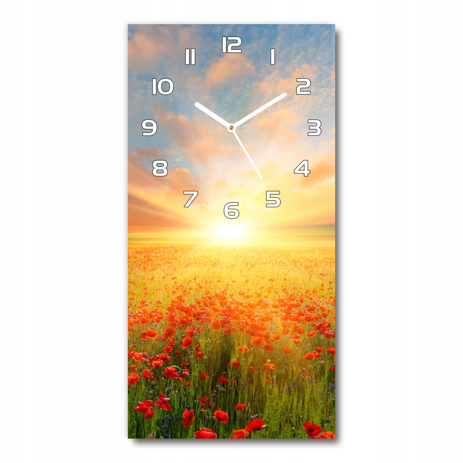 

Szklany nowoczesny zegar Pole maków 30x60 pionowy