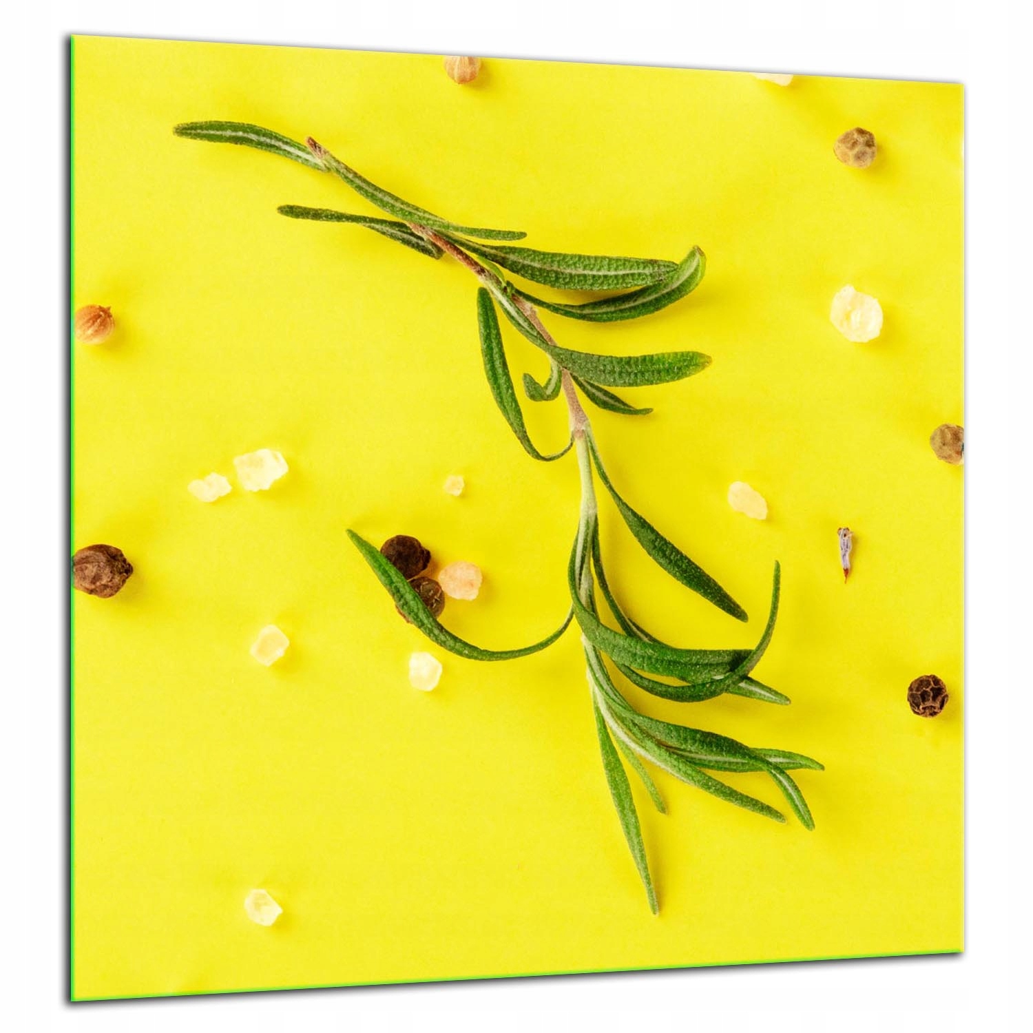 Skleněný Ochranný Panel Do Kuchyně 60x65 Květ Lacobel 7v1
