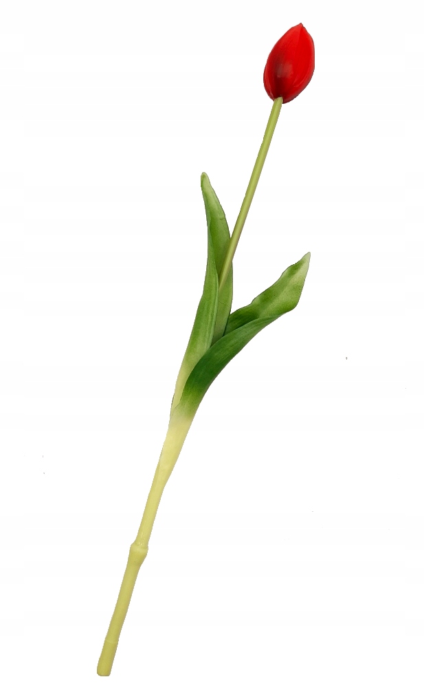 

Tulipany Silikonowe jak Żywe 38cm Tulipan Czerwony