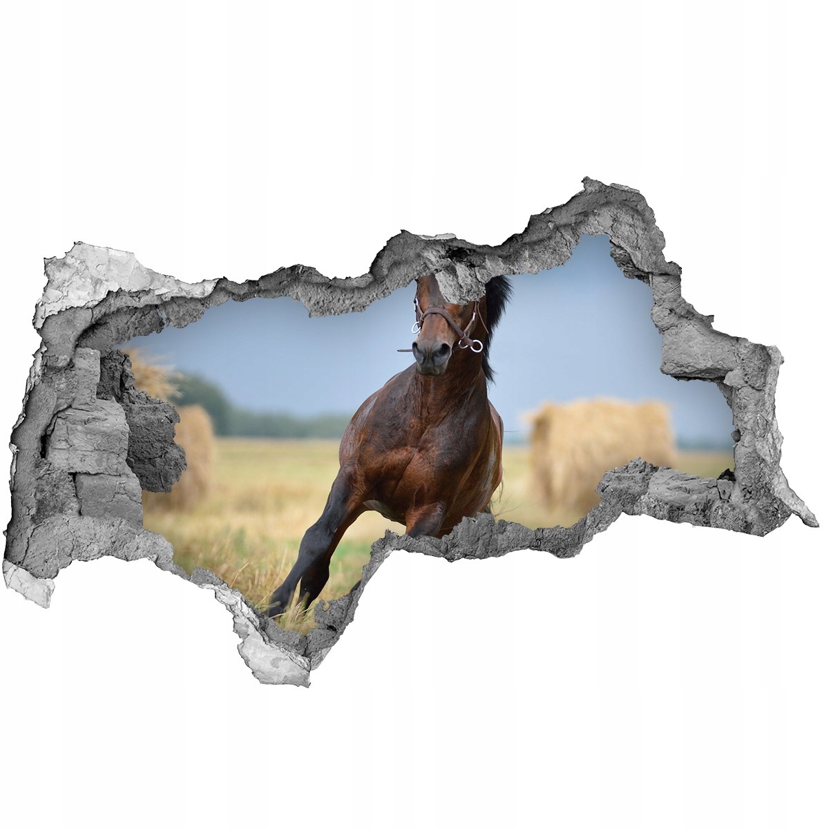 

Dziura 3d fototapeta Naklejka Koń w galopie 95x73