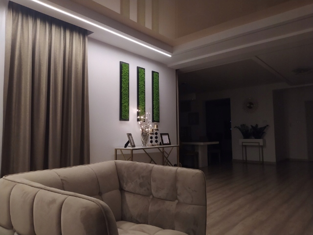 Mech Chrobotek NATURALNY Obraz z MCHU 90 x 20 cm Marka inna