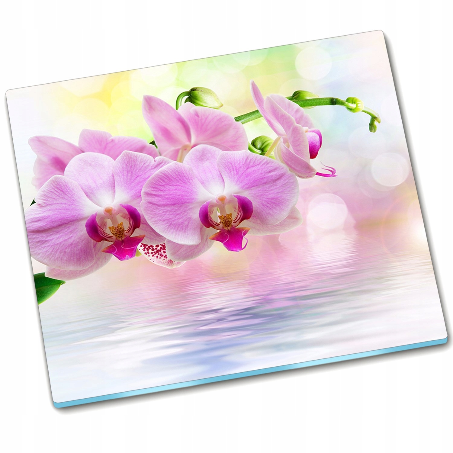 

Płyta ochronna szklana Orchidea Róż 60x52
