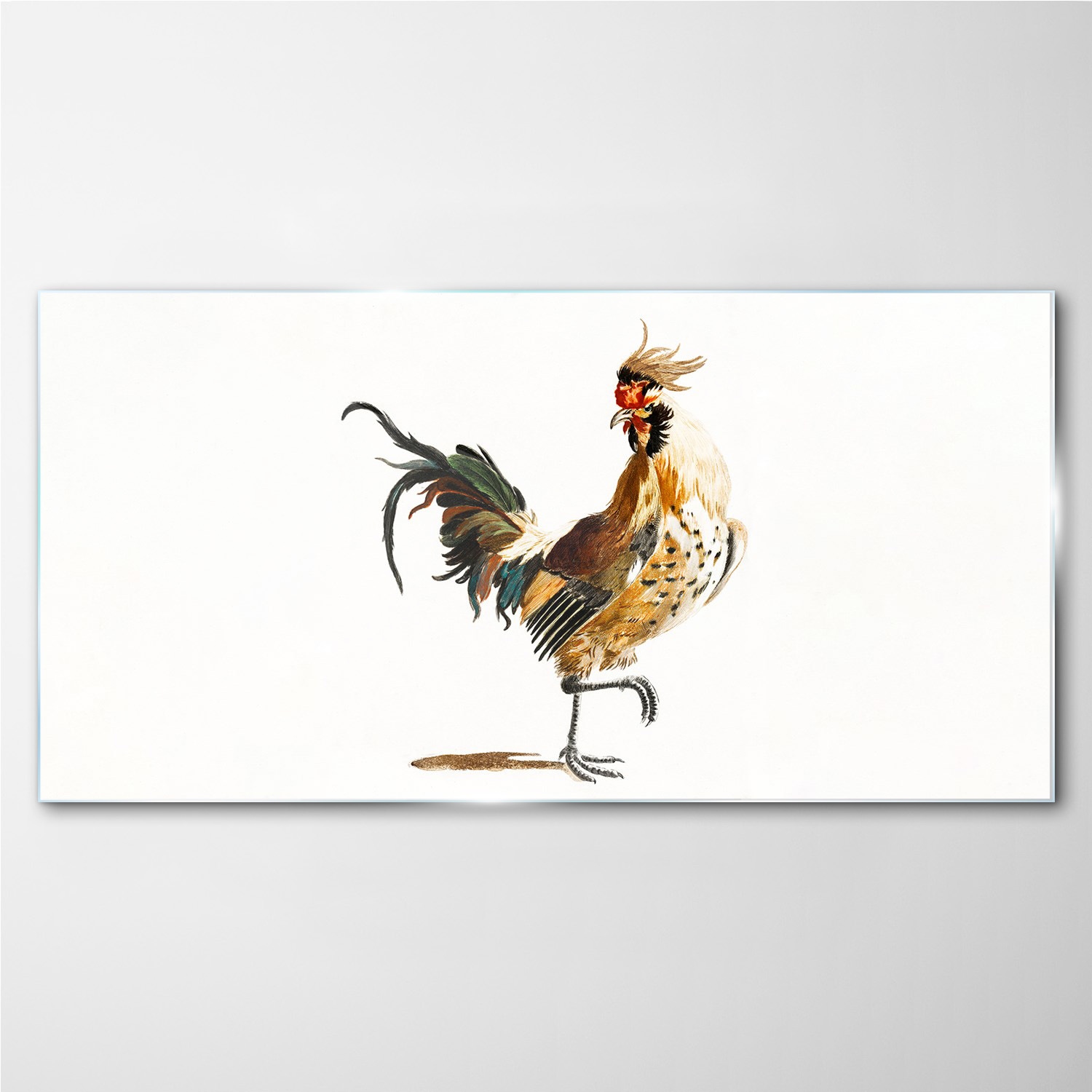 

Foto-obraz szklany Zwierzę ptak kurczak 100x50 cm