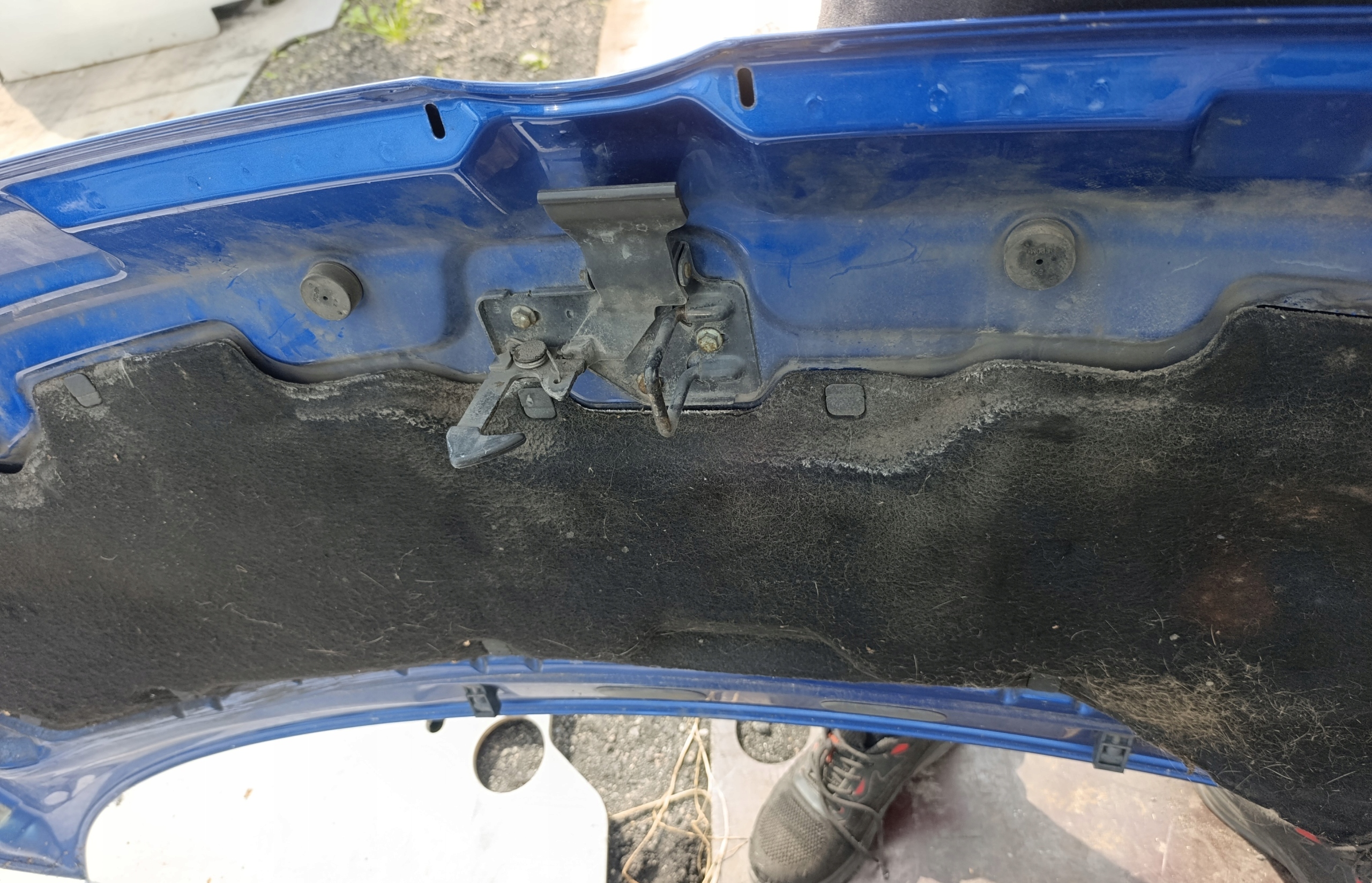 VW T5 Capot Bleu