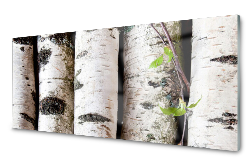 

Panel szklany do kuchni Drzewa 125x50