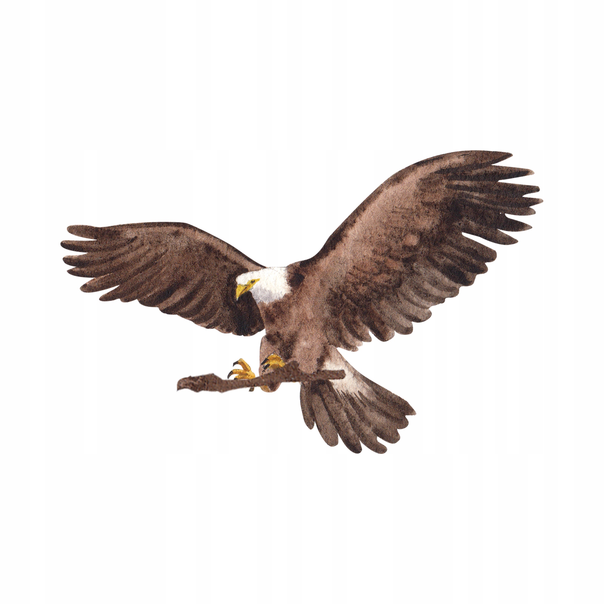 

Naprasowanka Orzeł Termo Naklejeka Na Odzież 4