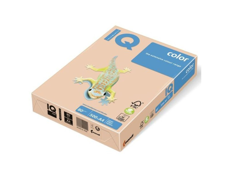 Creative World Of Crafts Tinta Papier De Couleur Vert 160 G/m² Format A4