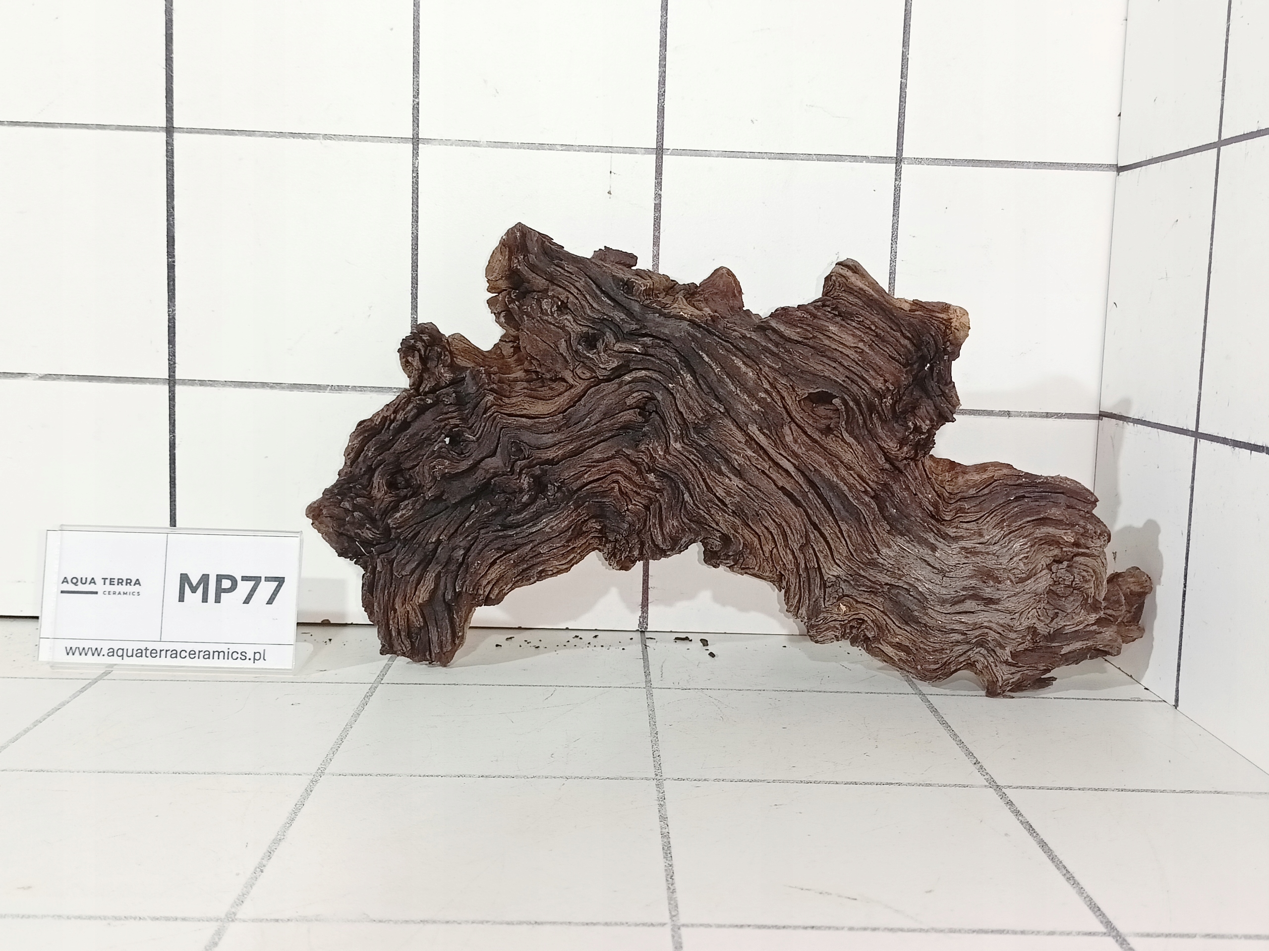 Korzeń Premium Mopani MP77 – Naturalny Gotowy do Akwarium Terrarium Desert