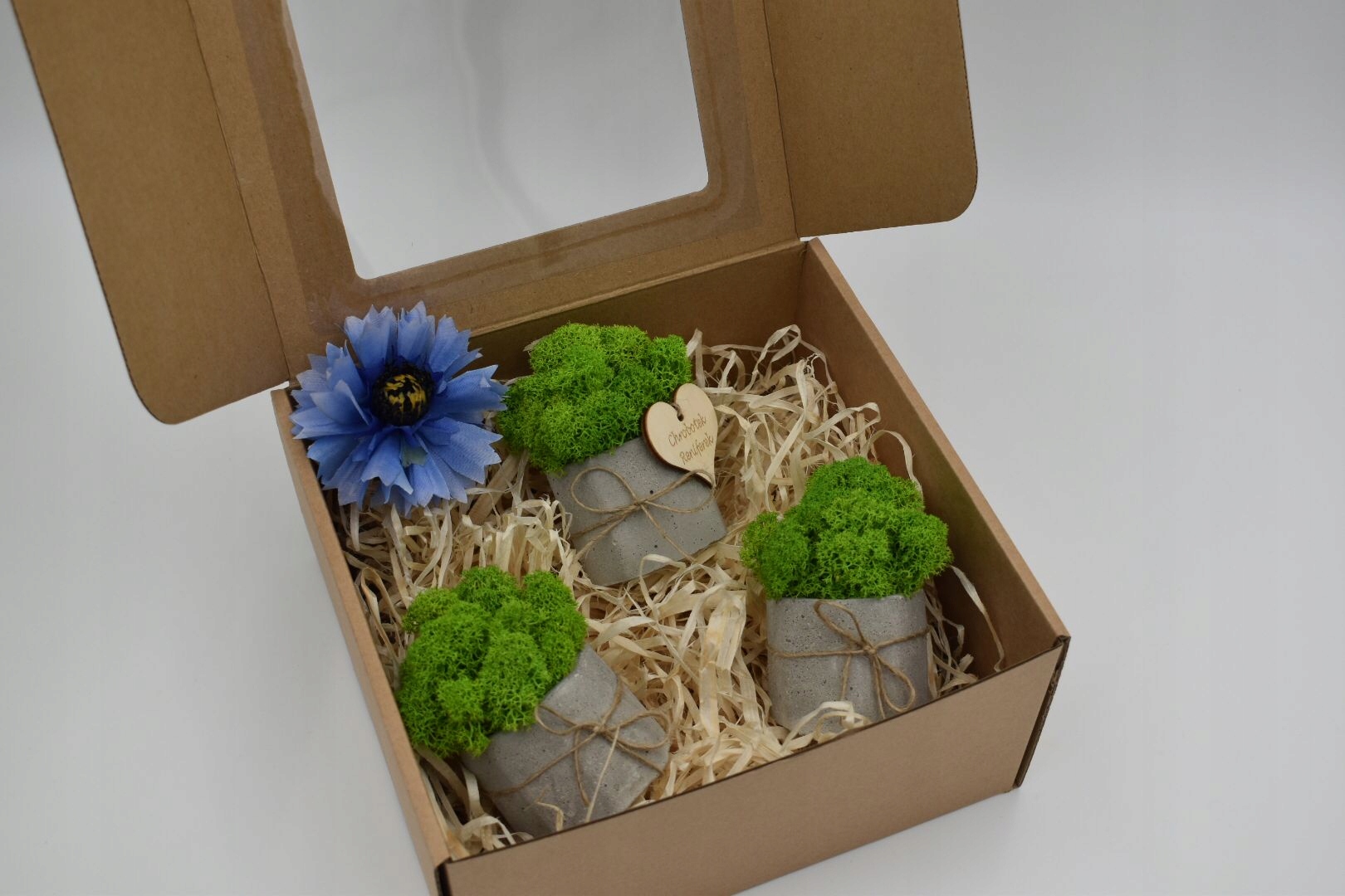 Prezent Chrobotkowy las zestaw Marka inna