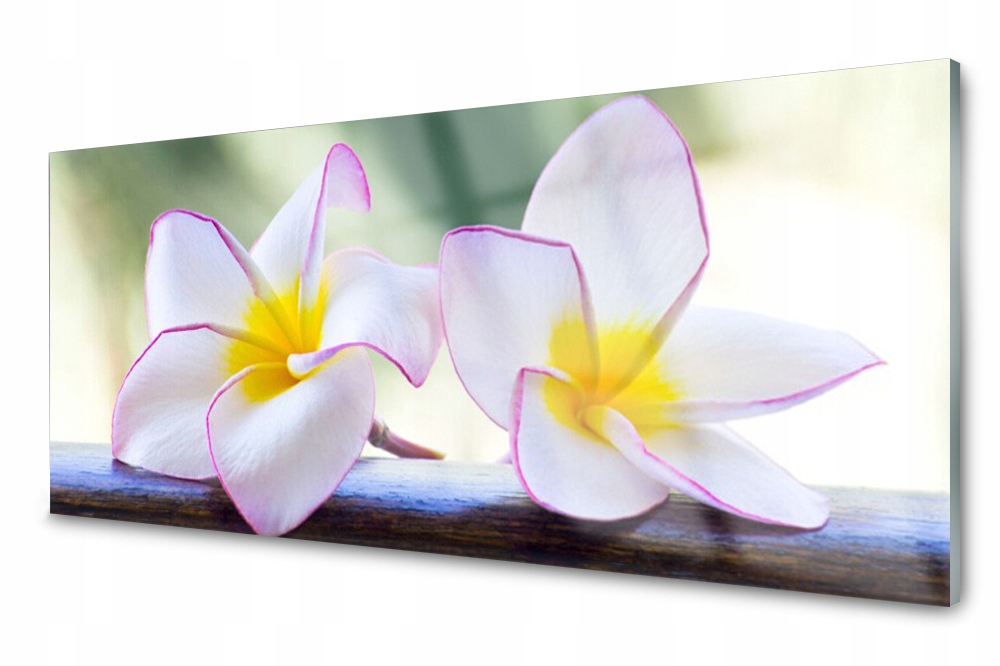 

Panel szklany do kuchni Kwiaty Płatki 125x50